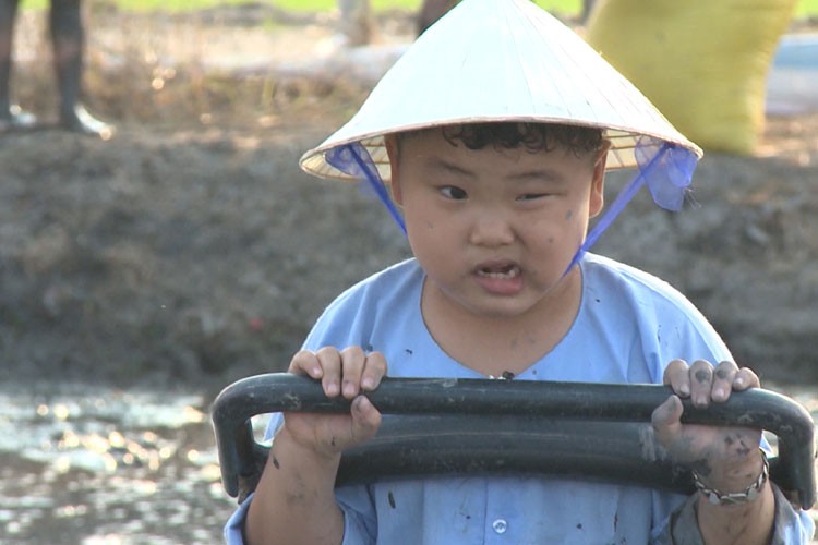 Thu vi Xuan Bac Minh Khang dua con di bua gieo ma-Hinh-7